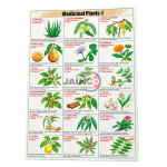 Medicinal plants - I